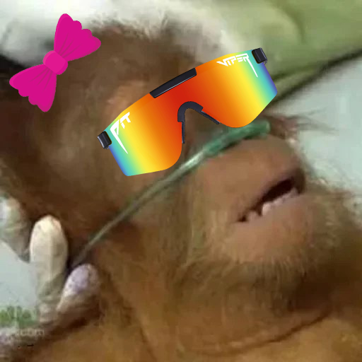 ape2.png